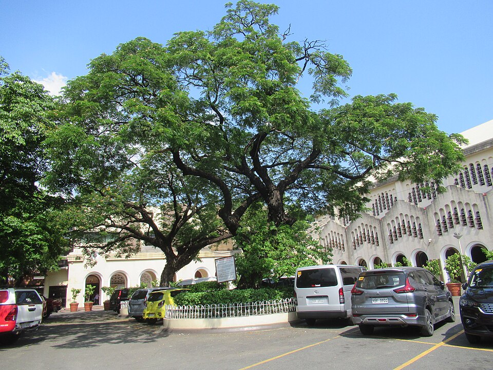 Baclaran Church Compound